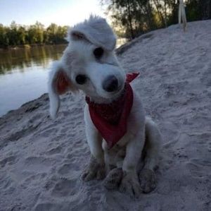 Meet your Posher, Zelma